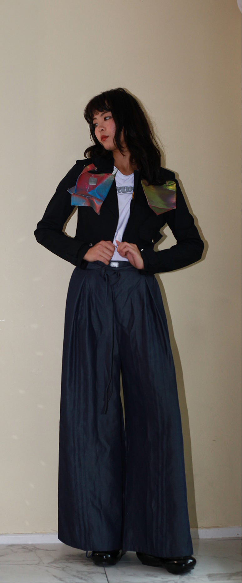 Armore ~ denim (curtain pants)