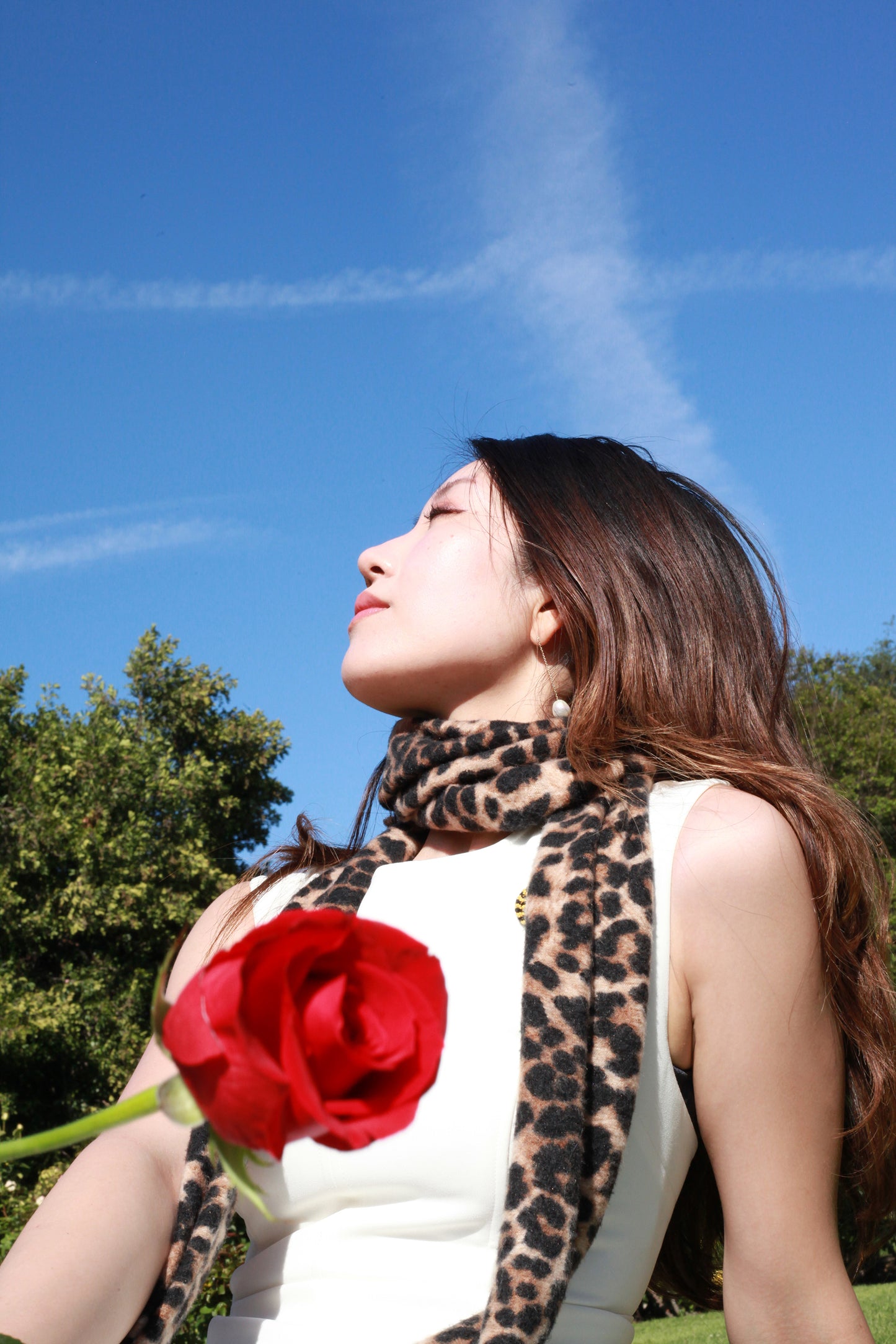 Roseffy Slim Scarf ~ leopard