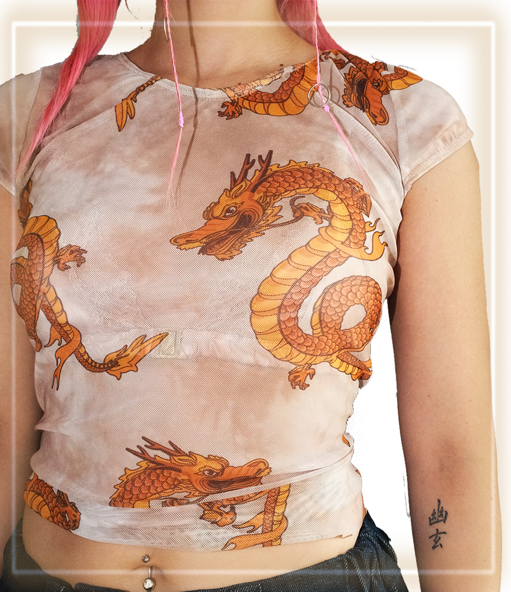 T ‣ DRAGON