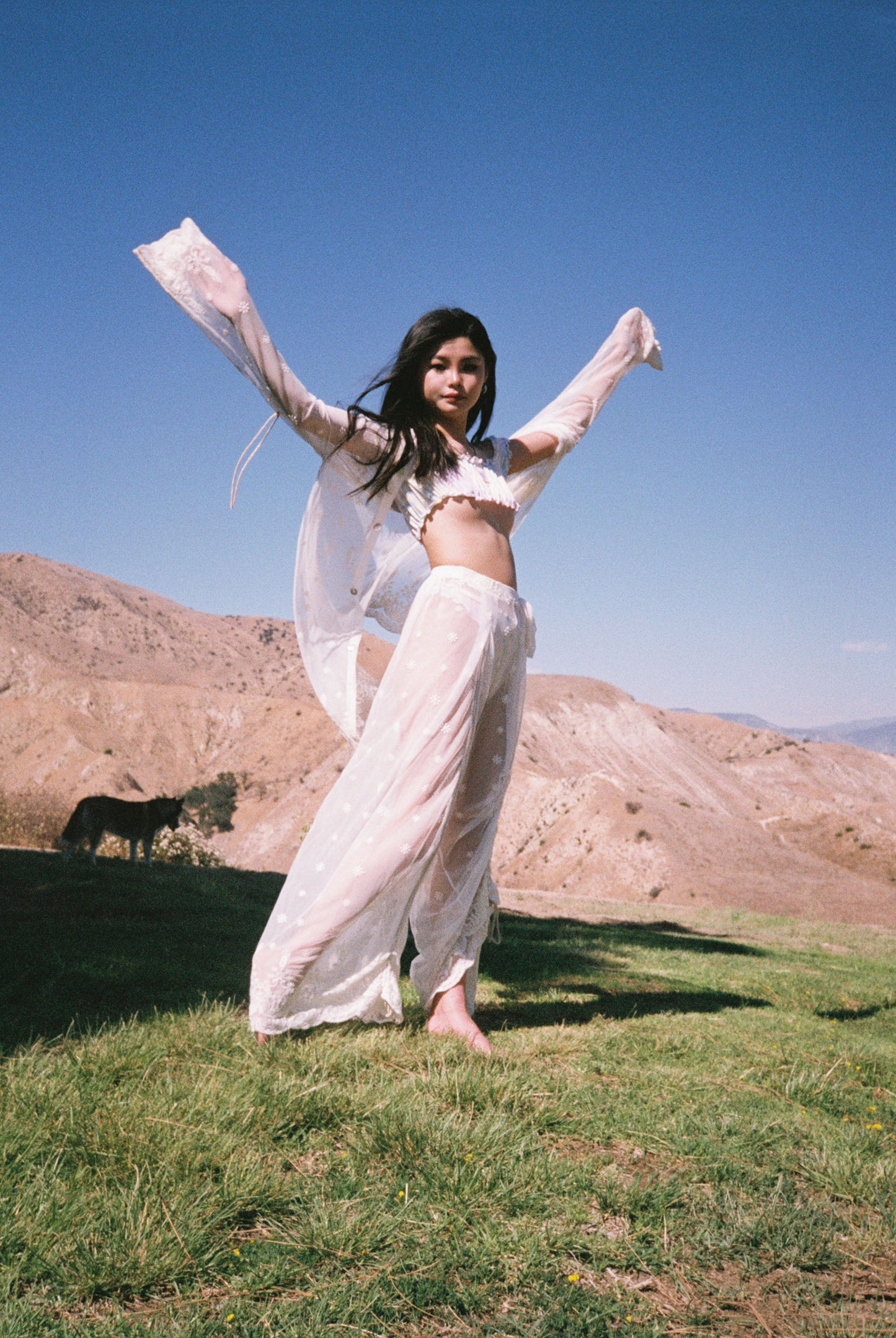 Armore ~ floral (curtain bottoms)