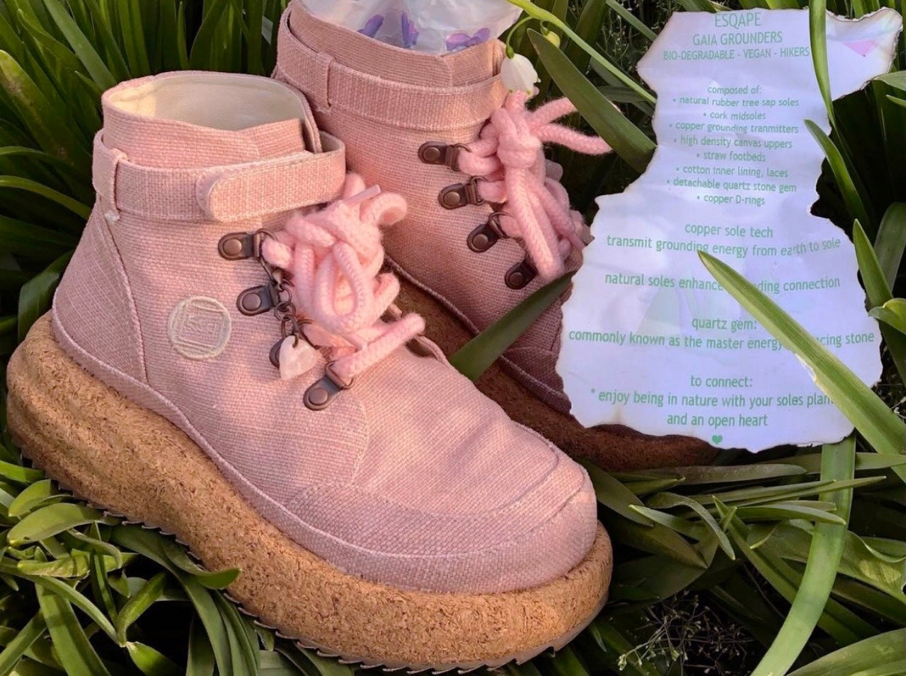 GAIA - CORAL ᴇᴄᴏ~ ʜɪᴋᴇʀs