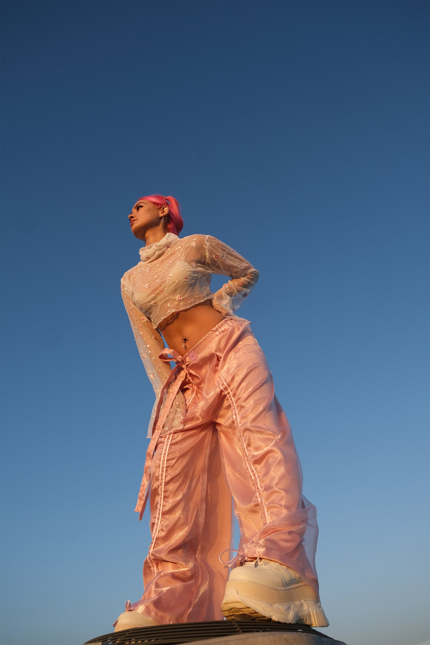 Armore II ~ pink (curtain pants)